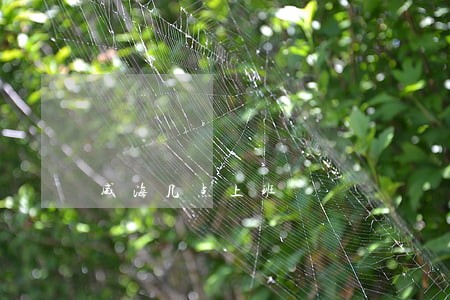 威海几点上班