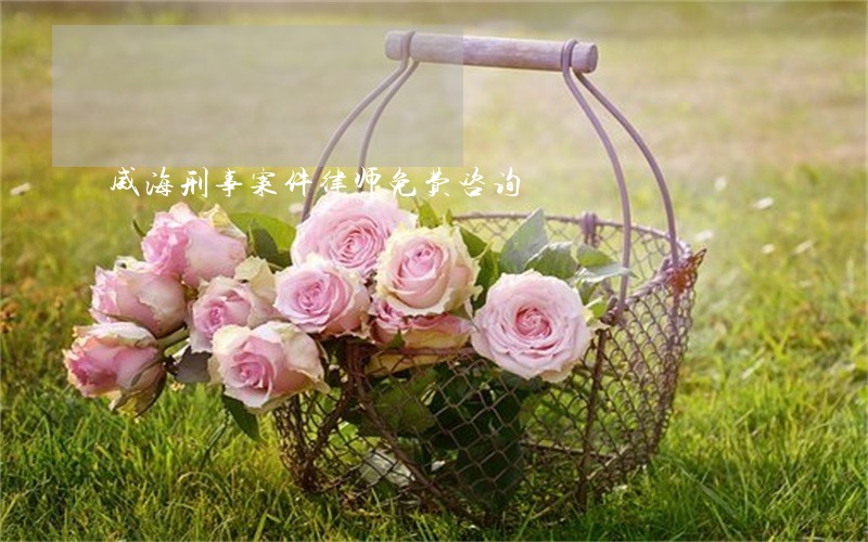 威海刑事案件律师免费咨询 威海刑事案件律师免费咨询