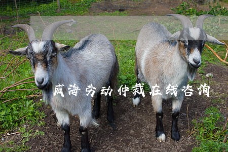 威海劳动仲裁在线咨询 威海劳动仲裁在线咨询