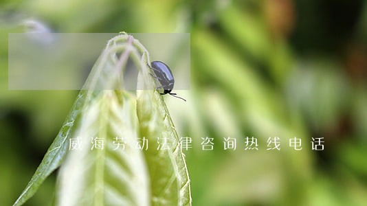 威海劳动法律咨询热线电话 威海劳动法律咨询热线电话