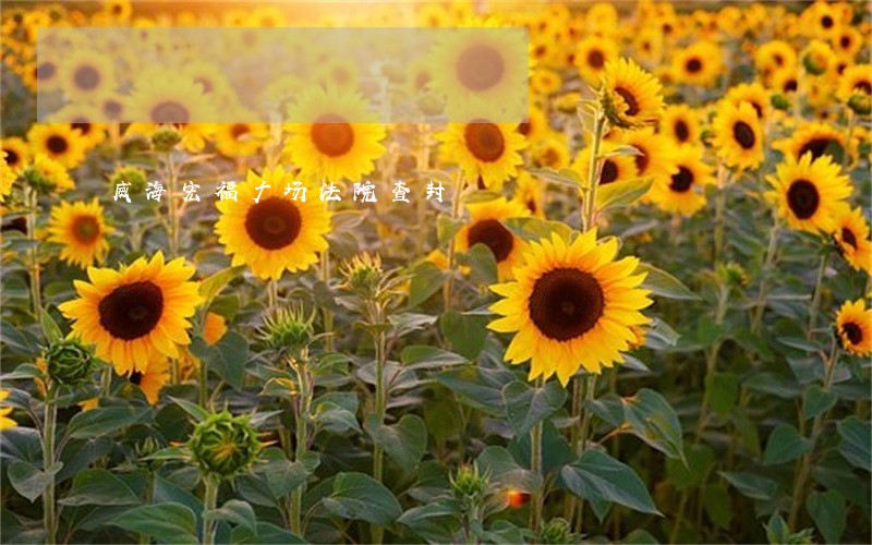 威海宏福广场法院查封
