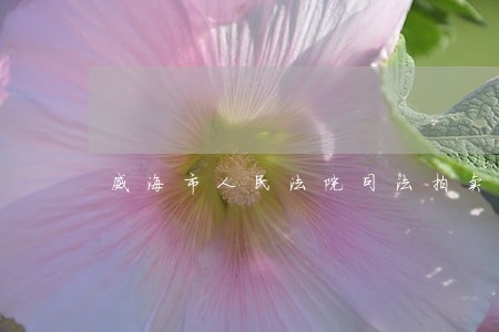 威海市人民法院司法拍卖 威海市人民法院司法拍卖