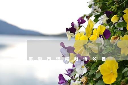 威海市法院起诉公告 威海市法院起诉公告