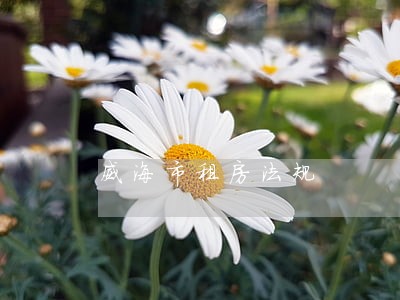 威海市租房法规 威海市租房法规