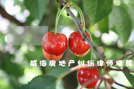 威海房地产纠纷律师推荐 威海房地产纠纷律师推荐