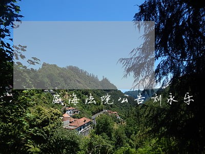 威海法院公告刘永乐 威海法院公告刘永乐