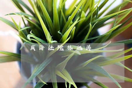 威海法院林旭涛
