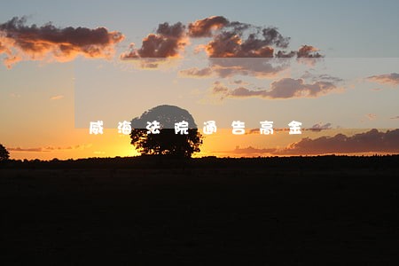 威海法院通告高金 威海法院通告高金