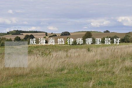 威海离婚律师哪里最好 威海离婚律师哪里最好