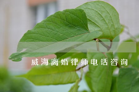 威海离婚律师电话咨询 威海离婚律师电话咨询