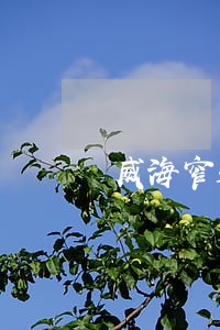 威海窄道车祸事故应该怎么诉讼