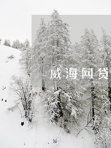 威海网贷逾期停息分期怎么协商 威海网贷逾期停息分期怎么协商