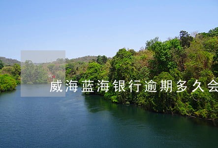 威海蓝海银行逾期多久会上征信 威海蓝海银行逾期多久会上征信