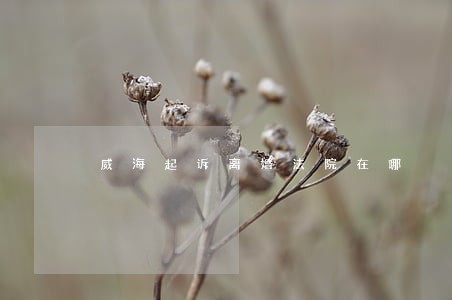 威海起诉离婚法院在哪
