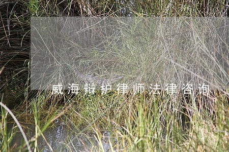威海辩护律师法律咨询 威海辩护律师法律咨询