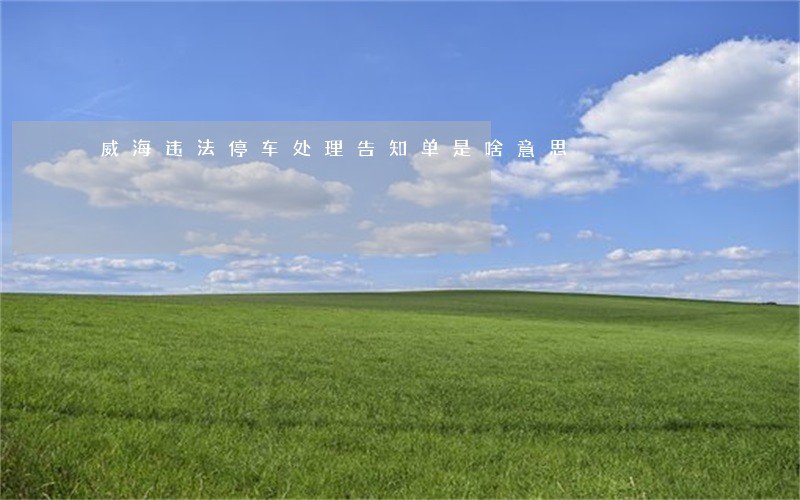 威海违法停车处理告知单是啥意思 威海违法停车处理告知单是啥意思