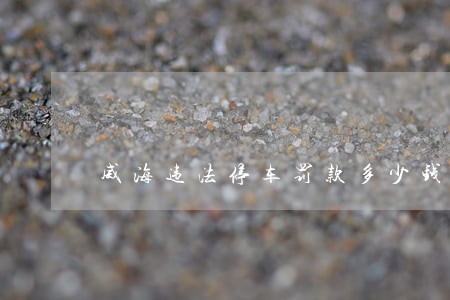 威海违法停车罚款多少钱