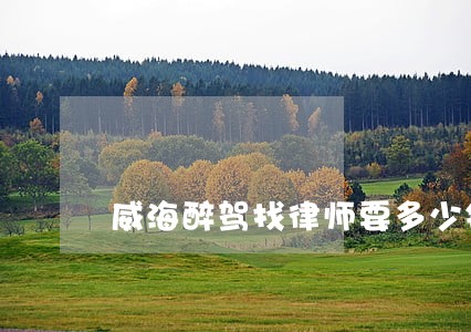 威海醉驾找律师要多少钱 威海醉驾找律师要多少钱