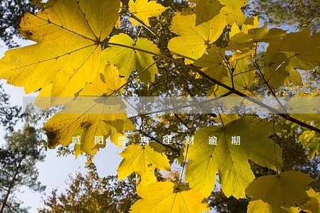 威阳普惠理财逾期 威阳普惠理财逾期