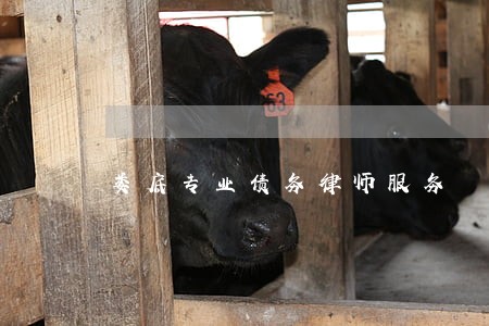 娄底专业债务律师服务 娄底专业债务律师服务
