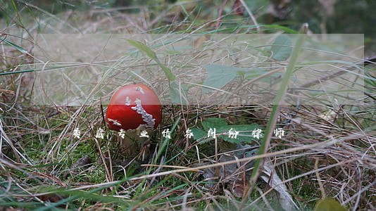 娄底专业债务纠纷律师 娄底专业债务纠纷律师