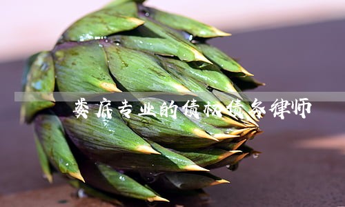 娄底专业的债权债务律师 娄底专业的债权债务律师