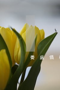 娄底债权债务合同律师事务所 娄底债权债务合同律师事务所