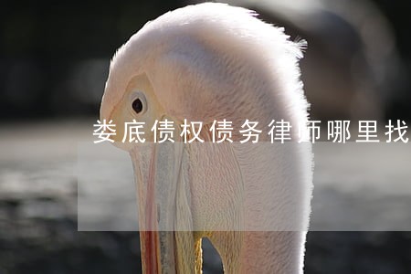 娄底债权债务律师哪里找 娄底债权债务律师哪里找