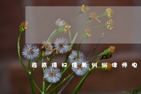 娄底债权债务纠纷律师电话