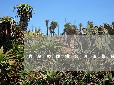 娄底办理债务纠纷律师咨询免费 娄底办理债务纠纷律师咨询免费