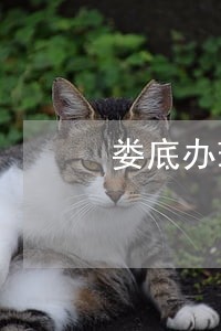 娄底办理债务纠纷律师联系方式 娄底办理债务纠纷律师联系方式
