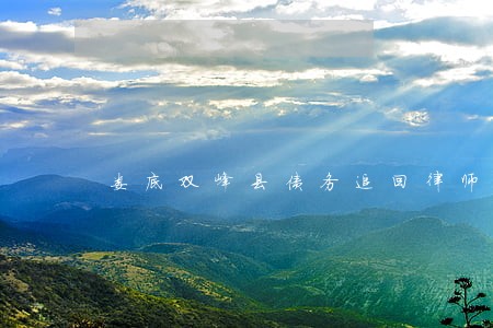 娄底双峰县债务追回律师 娄底双峰县债务追回律师