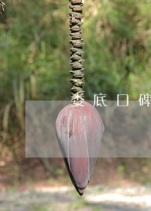 娄底口碑好的债务律师推荐 娄底口碑好的债务律师推荐