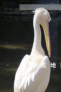 娄底地区债务律师电话 娄底地区债务律师电话