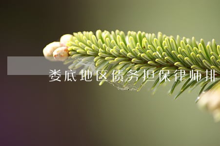 娄底地区债务担保律师排名 娄底地区债务担保律师排名
