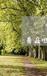 娄底地区债务担保律师联系方式 娄底地区债务担保律师联系方式