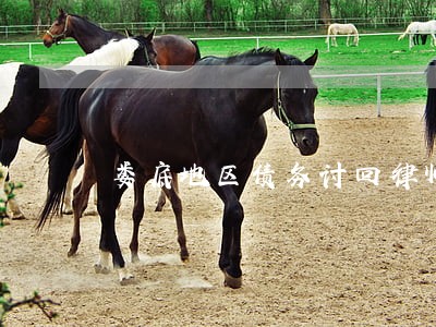 娄底地区债务讨回律师网站 娄底地区债务讨回律师网站