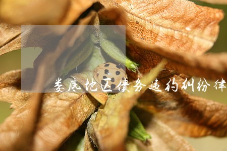 娄底地区债务违约纠纷律师事务所 娄底地区债务违约纠纷律师事务所