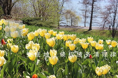 娄底地区债权债务清理律师多少钱