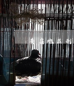 娄底地区刑辩律师联系电话 娄底地区刑辩律师联系电话