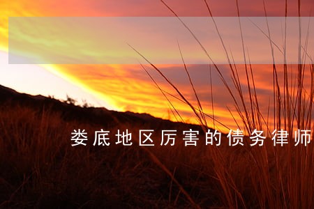 娄底地区厉害的债务律师排名 娄底地区厉害的债务律师排名