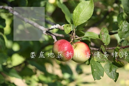 娄底地区新化县债务律师 娄底地区新化县债务律师