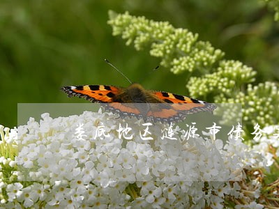 娄底地区涟源市债务案件律师 娄底地区涟源市债务案件律师