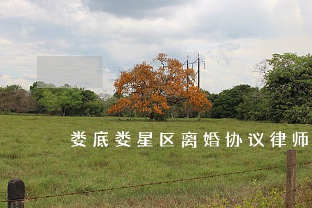 娄底娄星区离婚协议律师 娄底娄星区离婚协议律师