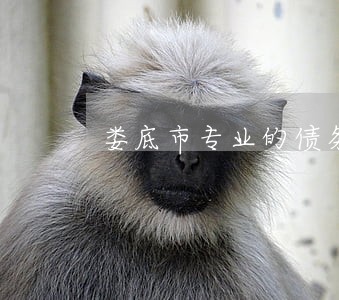 娄底市专业的债务律师电话 娄底市专业的债务律师电话