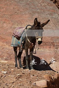 娄底市债务律师咨询 娄底市债务律师咨询