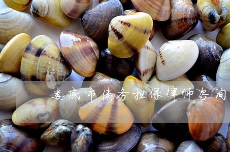 娄底市债务担保律师咨询 娄底市债务担保律师咨询