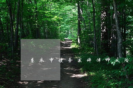 娄底市债务案件律师风险代理