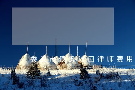 娄底市债务讨回律师费用标准 娄底市债务讨回律师费用标准