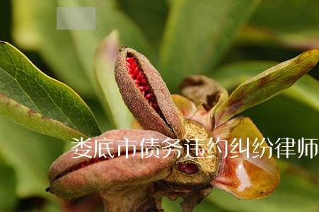娄底市债务违约纠纷律师服务 娄底市债务违约纠纷律师服务